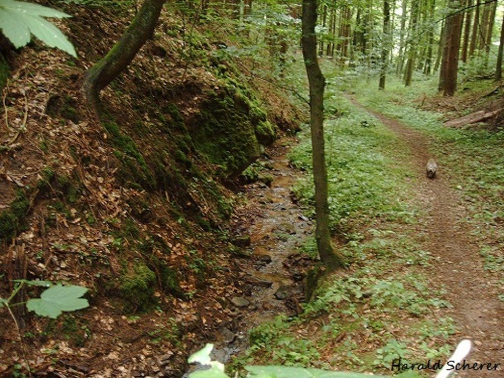 DHW0007.jpg